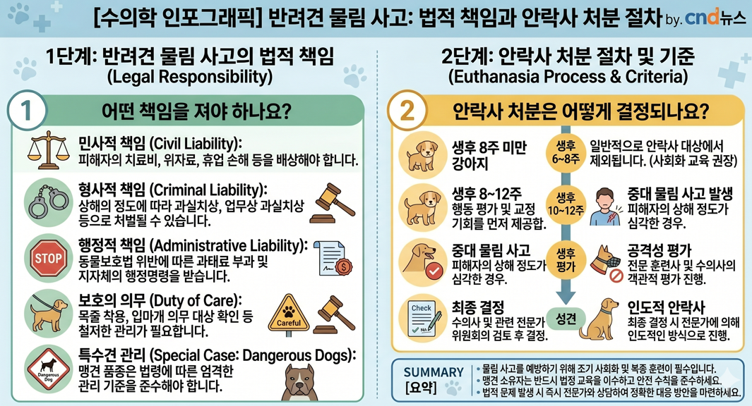 반려견 물림 사고 법적 책임과 안락사 처분 절차를 설명하는 인포그래픽