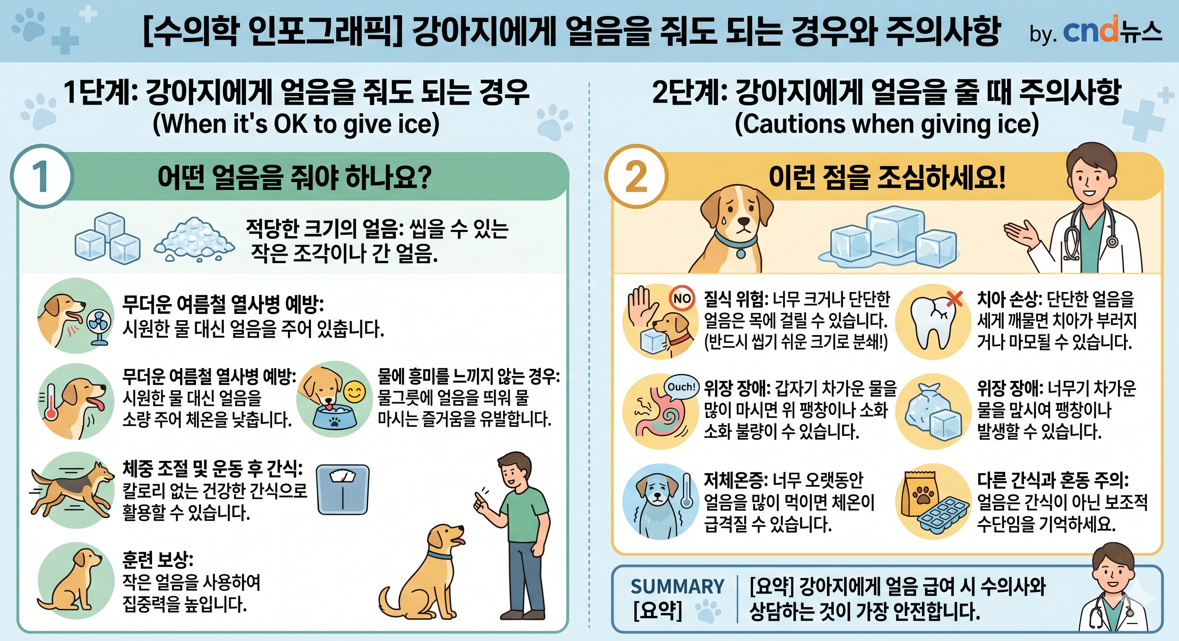 강아지에게 얼음을 줘도 되는 경우와 주의사항을 설명하는 수의학 인포그래픽