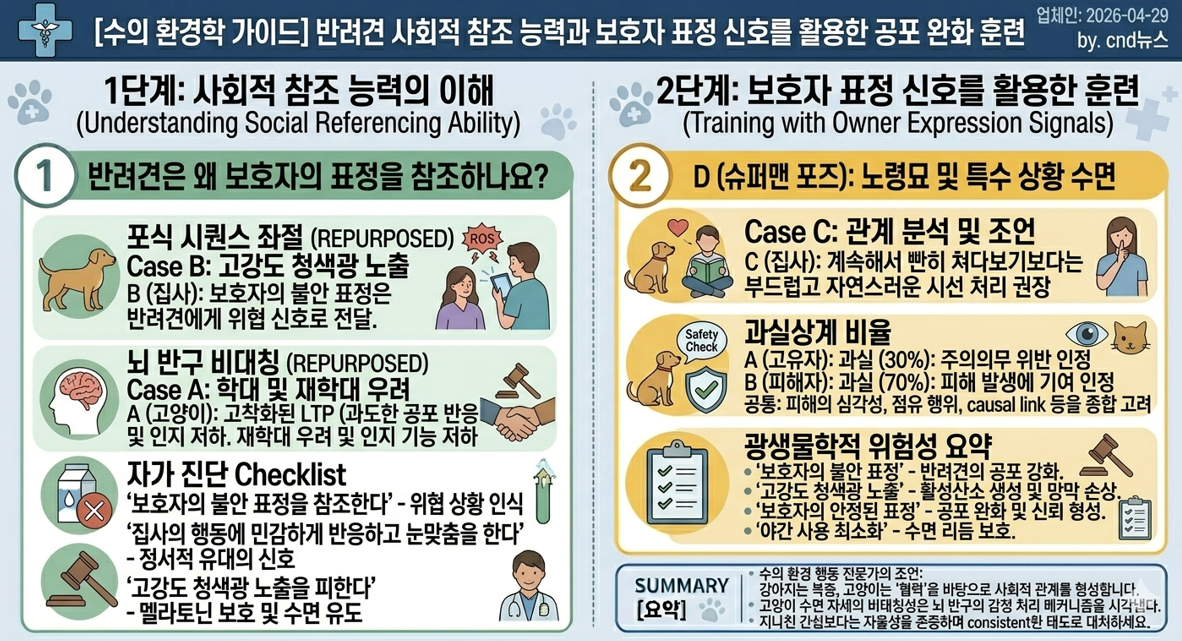 반려견 사회적 참조 능력과 보호자 표정 신호를 활용한 공포 완화 훈련 인포그래픽