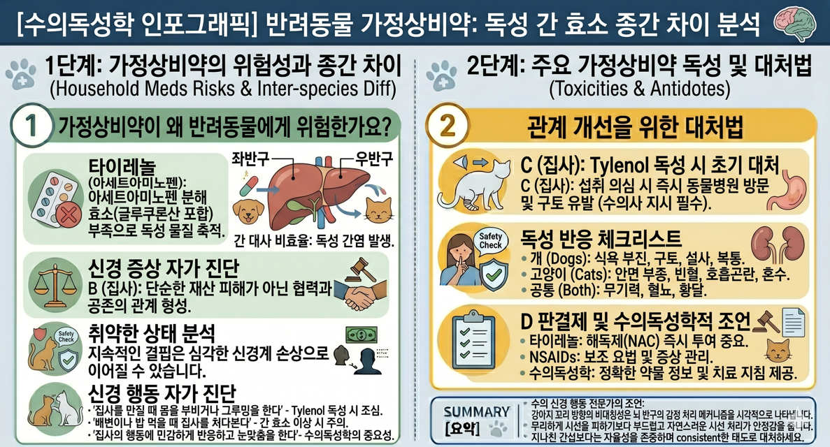 반려동물 가정상비약 독성 간 효소 종간 차이 수의독성학 분석 인포그래픽